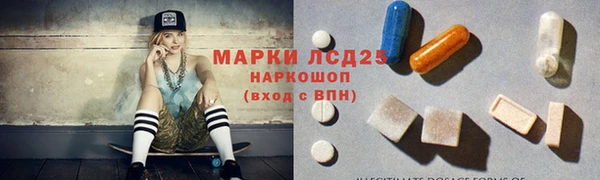 spice Аркадак