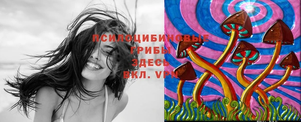 герыч Карпинск