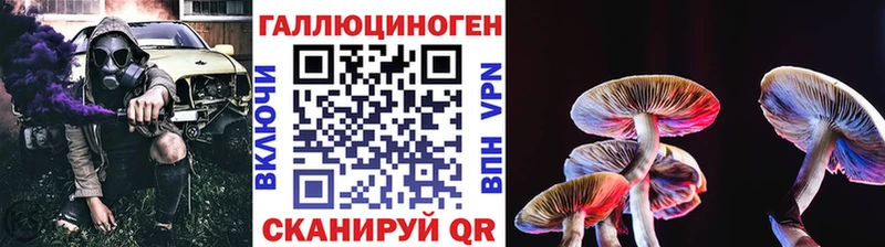 Галлюциногенные грибы Psilocybine cubensis  где купить   Таруса 